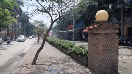 Nhung vu "xe thit" dat vang Ha Noi gay soc du luan