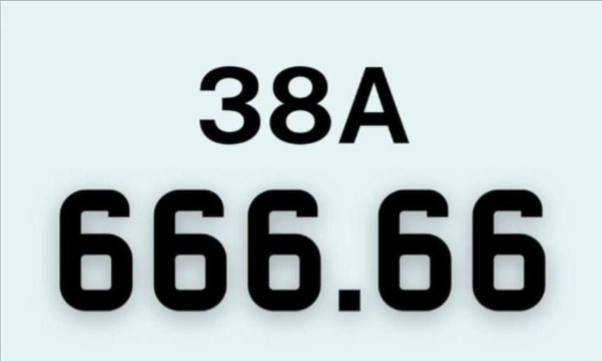 Nhieu bien so o to “vip” Ha Tinh bi bo coc sau khi trung dau gia