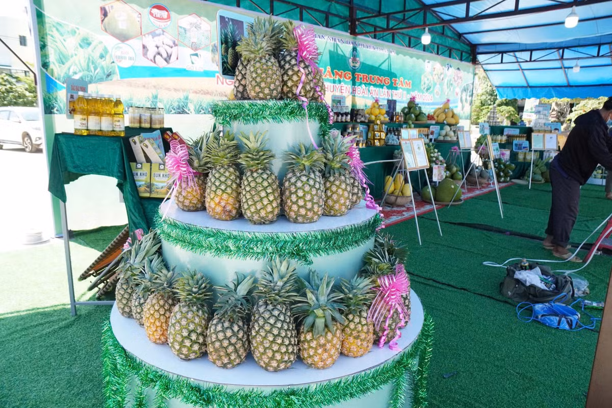 Muc so thi nhung vuon cay giup nong dan Binh Dinh “hai ra tien“-Hinh-9