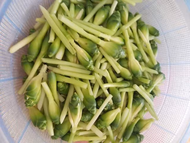 Được quảng cáo như một món ăn lạ vị, giòn ngon và có tác dụng giải cảm, nên chỉ một thời gian ngắn, giá của món ăn này đã tăng lên tới 60.000 - 65.000 nghìn đồng/kg. Nhiều người thấy lạ đã thi nhau mua về ăn thử. Nụ hoa gừng được bán đặc biệt nhiều trên các chợ mạng khi vào mùa.