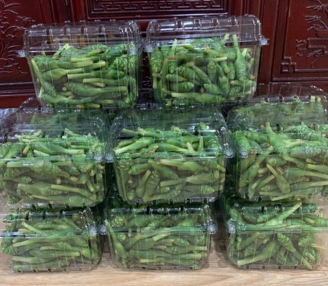 Cứ khoảng tầm tháng 7 đến tháng 9 âm lịch là thời điểm thu hoạch hoa gừng, đối với người dân miền núi thì đây là đặc sản hiếm vì mỗi năm chỉ có 1 lần. Mấy năm trở lại đây, loại hoa đặc sản này xuất hiện nhiều hơn ở Hà Nội.