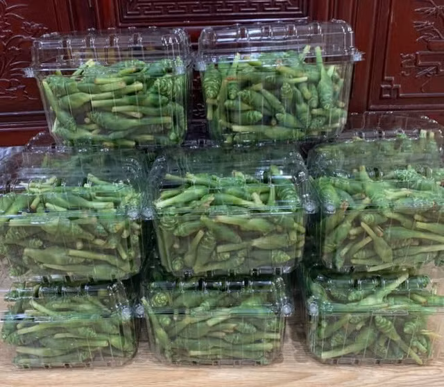 Cứ khoảng tầm tháng 7 đến tháng 9 âm lịch là thời điểm thu hoạch hoa gừng, đối với người dân miền núi thì đây là đặc sản hiếm vì mỗi năm chỉ có 1 lần. Mấy năm trở lại đây, loại hoa đặc sản này xuất hiện nhiều hơn ở Hà Nội.