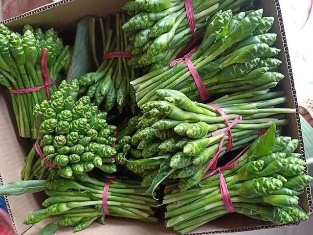 Mất công là vậy, nhưng khi ăn nụ hoa gừng, vị của nó rất khó ăn. Chưa kể, mùi gừng nồng như cắn cả miếng gừng vào miệng khiến người ăn không khỏi thất vọng. Một số người còn phải thừa nhận, càng ăn càng thấy giống "bò nhai rơm, vì thân rất xơ, mùi lại hắc".