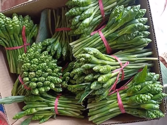 Mất công là vậy, nhưng khi ăn nụ hoa gừng, vị của nó rất khó ăn. Chưa kể, mùi gừng nồng như cắn cả miếng gừng vào miệng khiến người ăn không khỏi thất vọng. Một số người còn phải thừa nhận, càng ăn càng thấy giống "bò nhai rơm, vì thân rất xơ, mùi lại hắc".