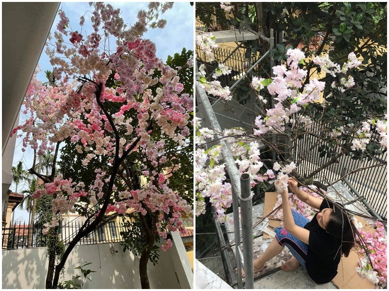 Người đẹp gốc Hải Phòng từng dành nguyên cả một ngày để gắn hoa anh đào bằng vải lụa lên cây hồng trước cửa nhà.