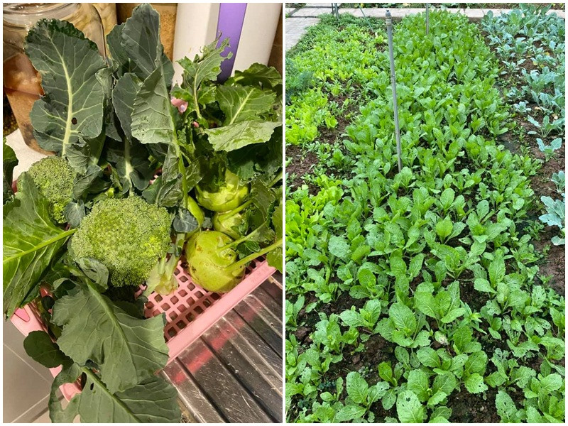 Hoa hậu Việt Nam 2004 yêu thích công việc làm vườn. Cô thường xuyên khoe rau quả tự trồng trong vườn nhà.