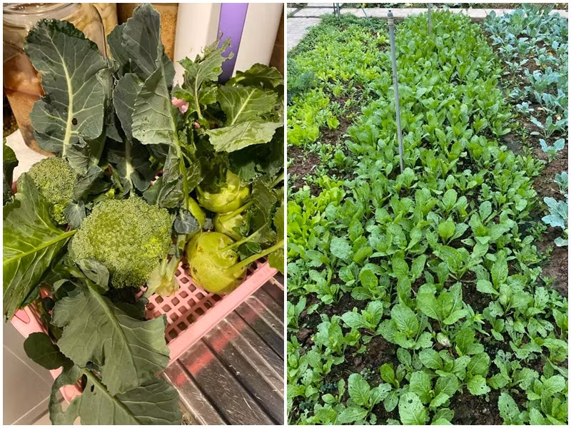 Hoa hậu Việt Nam 2004 yêu thích công việc làm vườn. Cô thường xuyên khoe rau quả tự trồng trong vườn nhà.