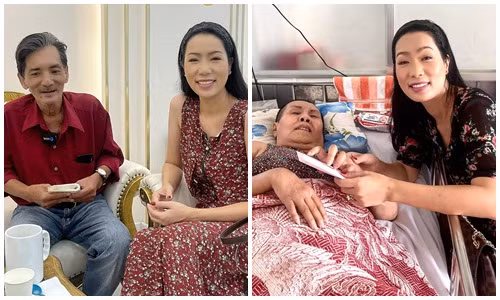 Trinh Kim Chi xin khan gia dung tan nhan voi nghe si lam tu thien