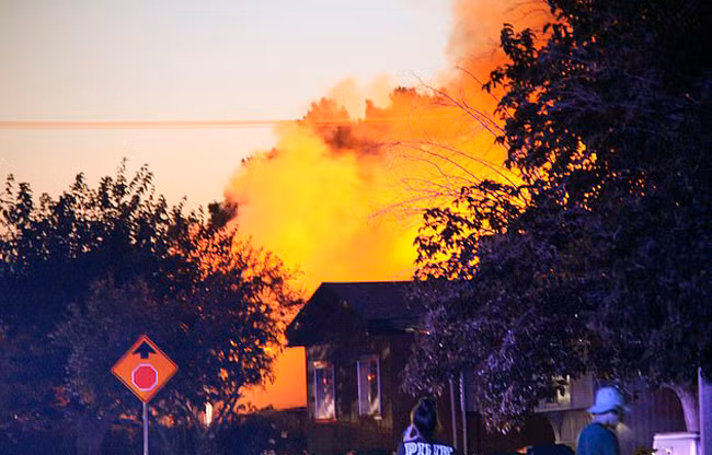 California ngon ngang, chim trong bien lua sau dong dat 7,1 do-Hinh-2