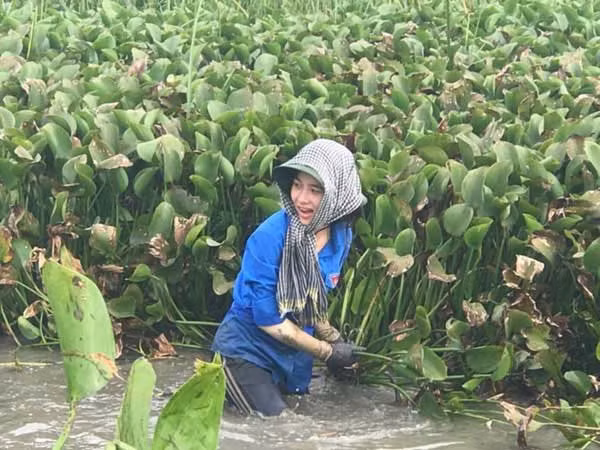 Những hình ảnh trên được chụp trong buổi hoạt động tình nguyện của nhóm tại Đức Lập, Đức Thọ, Hà Tĩnh. Quỳnh và các bạn đang tham gia vớt bèo, làm sạch đầm nước ở thôn Đồng Hòa.