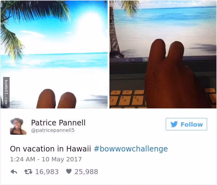 Nghỉ dưỡng ở Hawaii thông qua... màn hình.