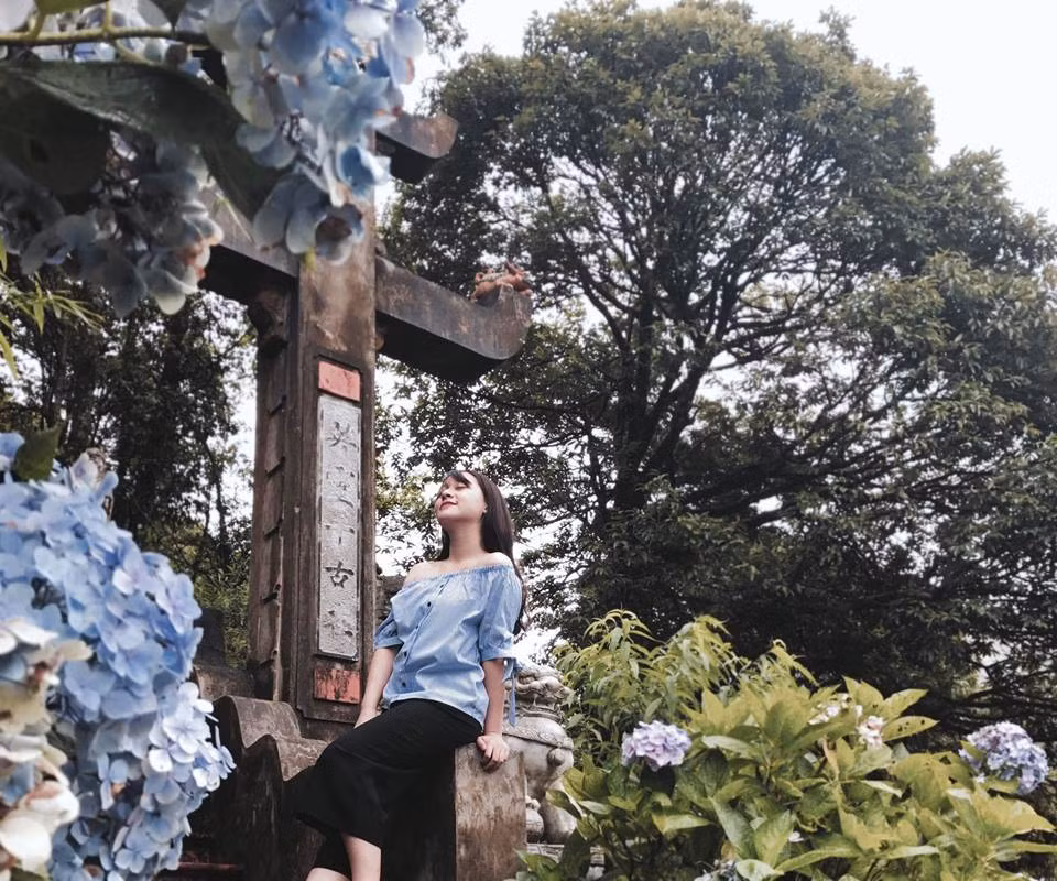 Tới đây, bạn sẽ được thả mình khung cảnh yên bình, “lạc bước” giữa hàng trăm đóa hoa cẩm tú cầu và tranh thủ lưu lại những khoảnh khắc tuyệt đẹp chỉ có tại một thời điểm nhất định trong năm. Ảnh: Trương Nguyên Hà.