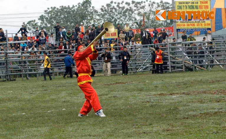 Năm nay BTC đã quyết định đổi tên Hội chọi trâu thành Lễ hội Chọi trâu. Chính vì "nâng cấp" thành Lễ hội nên chọi trâu năm nay sẽ có 2 phần: Phần lễ và phần hội. Phần lễ sẽ được huyện Phúc Thọ tổ chức dâng hương từ trước. Phần hội là các "ông trâu" sẽ có dịp được so tài ở một Lễ hội với nghi lễ đặc biệt là tế trâu vô địch tại Đền thờ Hai Bà Trưng (xã Hát Môn, Phúc Thọ, Hà Nội). Trong ảnh là kèn khai hội được thổi lên.