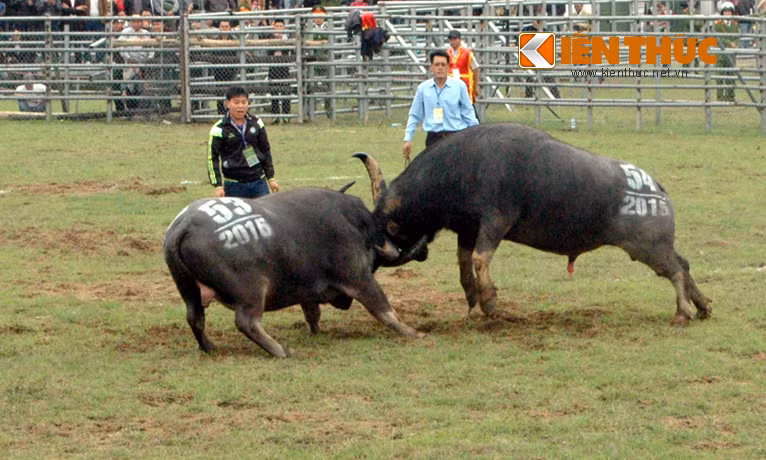 Những trận đánh nảy lửa.