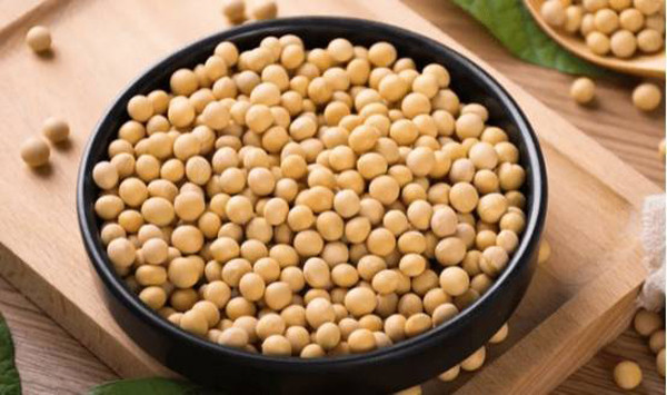 Vậy nhưng, đậu nành chứa nhiều nhân purin, cần ăn lượng thích hợp. Ăn số lượng lớn, thường xuyên sẽ khiến hàm lượng axit uric trong cơ thể tăng cao, không tốt cho sức khỏe. (Ảnh: Sohu)