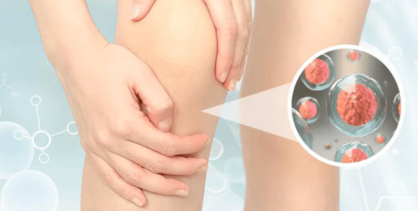 Để tránh các vấn đề về thận, bạn nên chú ý kiểm soát axit uric. Theo chuyên gia, hợp chất purin có nhiều trong thức ăn, khi đi vào cơ thể chuyển hóa thành axit uric. Nó có khả năng kích thích não bộ, chống oxy hóa cho cơ thể. Vậy nhưng, lượng lớn axit uric có thể làm tăng nguy cơ mắc các bệnh tim mạch, thận. (Ảnh: Aboluowang)