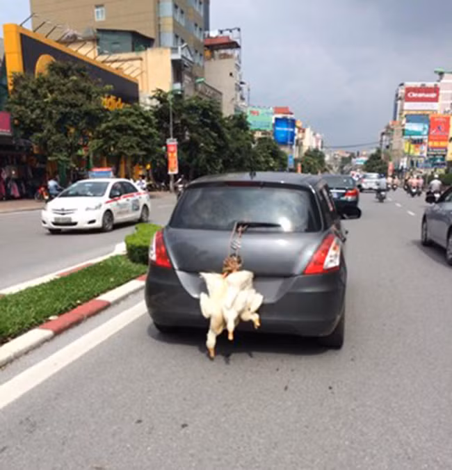 Cần gạt đa năng.