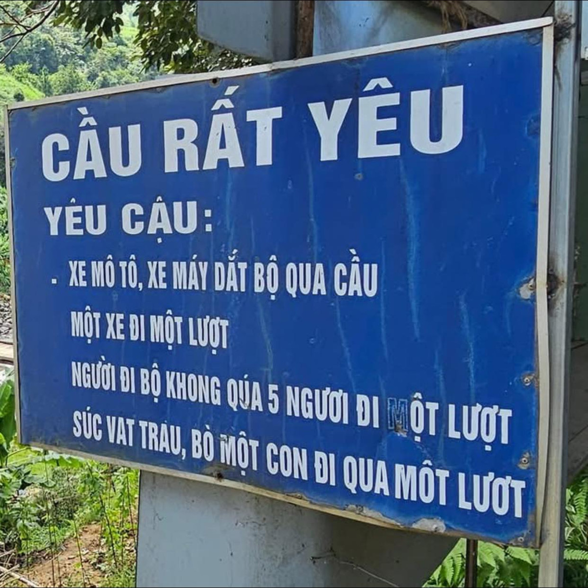Cây cầu có tên độc lạ này ở Yên Bái.
