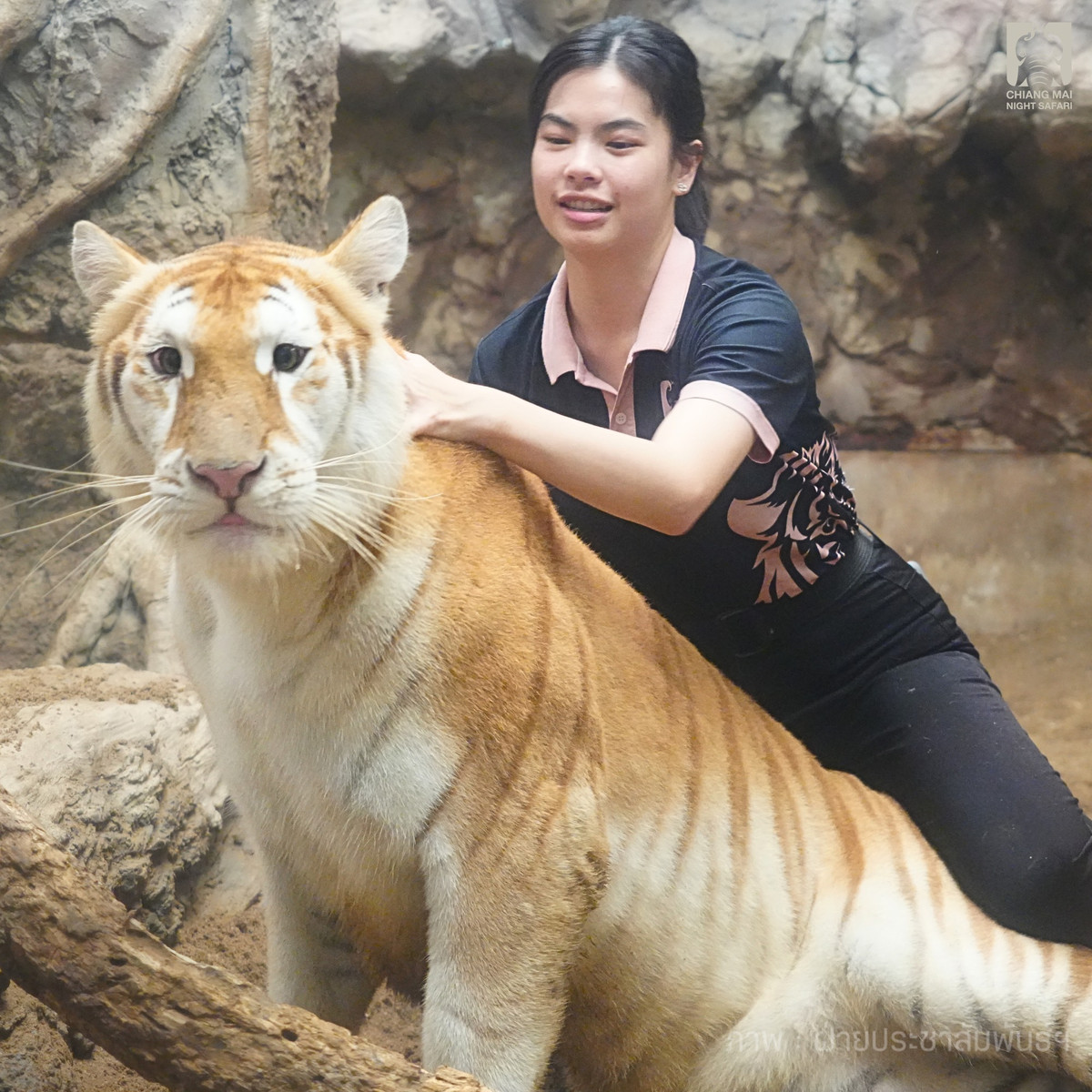 Ngay sau khi được đăng tải, những hình ảnh về Eva đã thu hút hàng chục ngàn lượt thích và chia sẻ trên mạng xã hội chỉ trong 1 ngày.