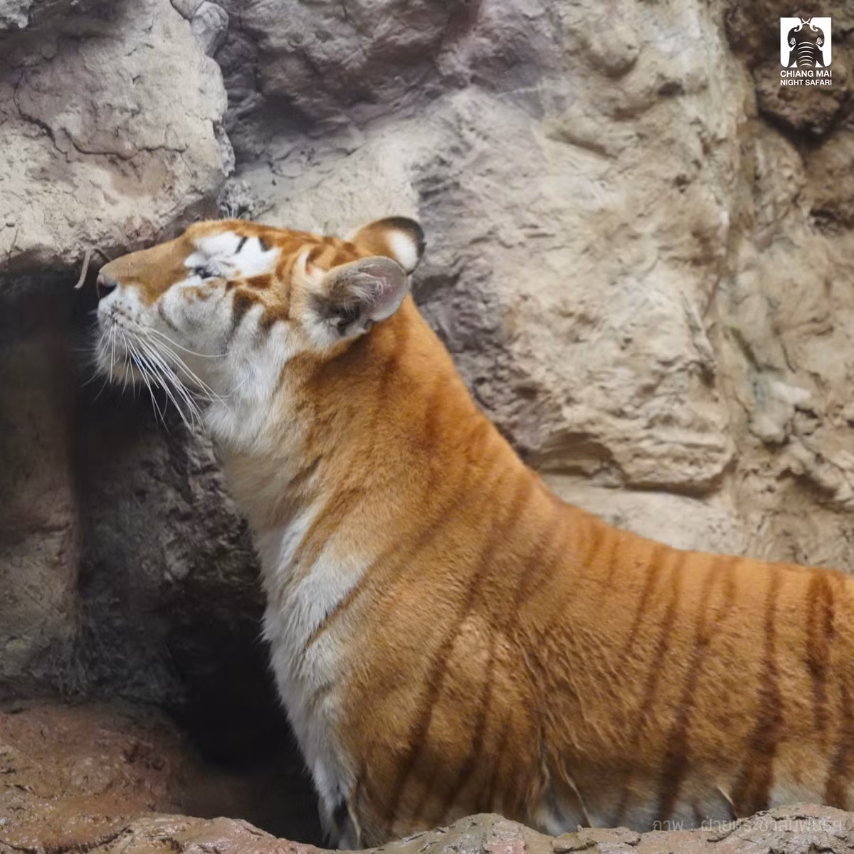 Đa phần bình luận đều bày tỏ sự yêu thích đặc biệt dành cho Eva