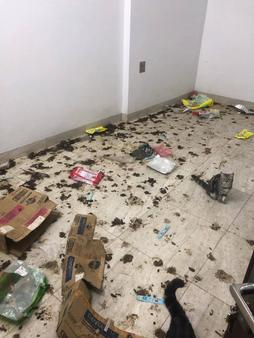 "Bức ảnh phát ra mùi" khiến người xem ám ảnh. (Ảnh: Nhat Thuy)