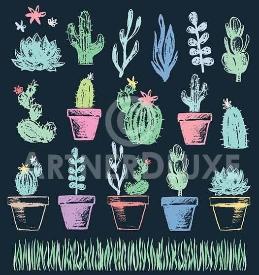 Những chậu xương rồng đầy màu sắc, tượng trưng cho sự kiên trì, bền bỉ, chăm chỉ.