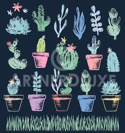 Những chậu xương rồng đầy màu sắc, tượng trưng cho sự kiên trì, bền bỉ, chăm chỉ.