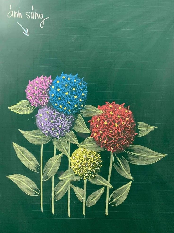 Vườn cẩm tú cầu tượng trưng cho những hi vọng tươi đẹp, những khát khao tuổi trẻ.