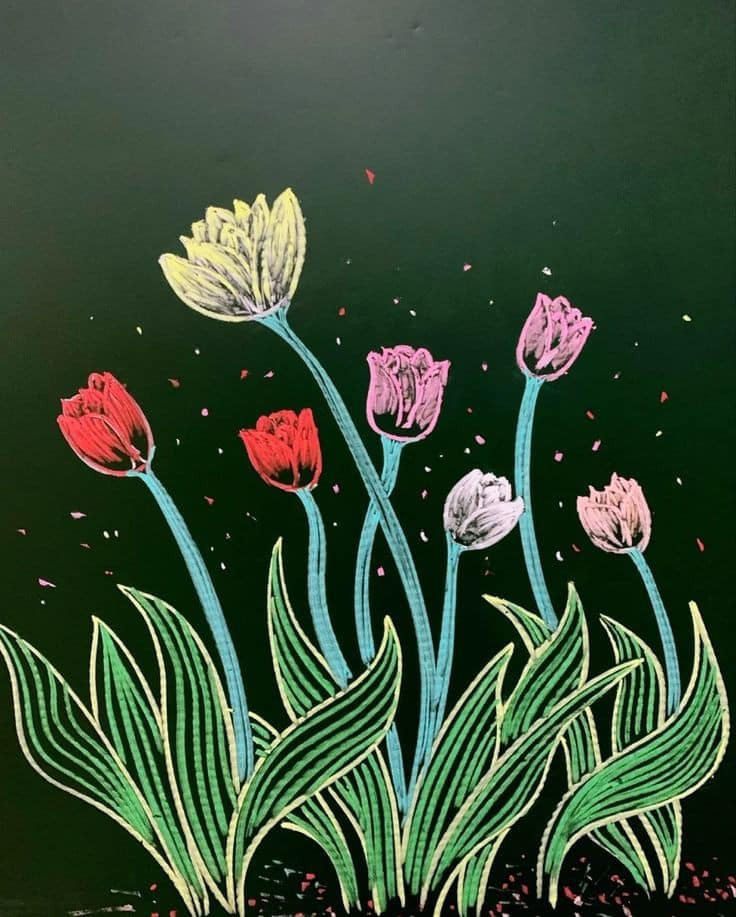 Những bông tulip nhiều màu sắc.