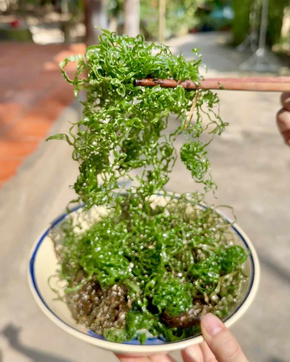 Nhiều người còn bày tỏ chỉ ăn đúng 1 miếng rồi bỏ vì hoàn toàn không có mùi vị gì, chỉ đọng lại trong miệng sự dầu mỡ mà thôi.