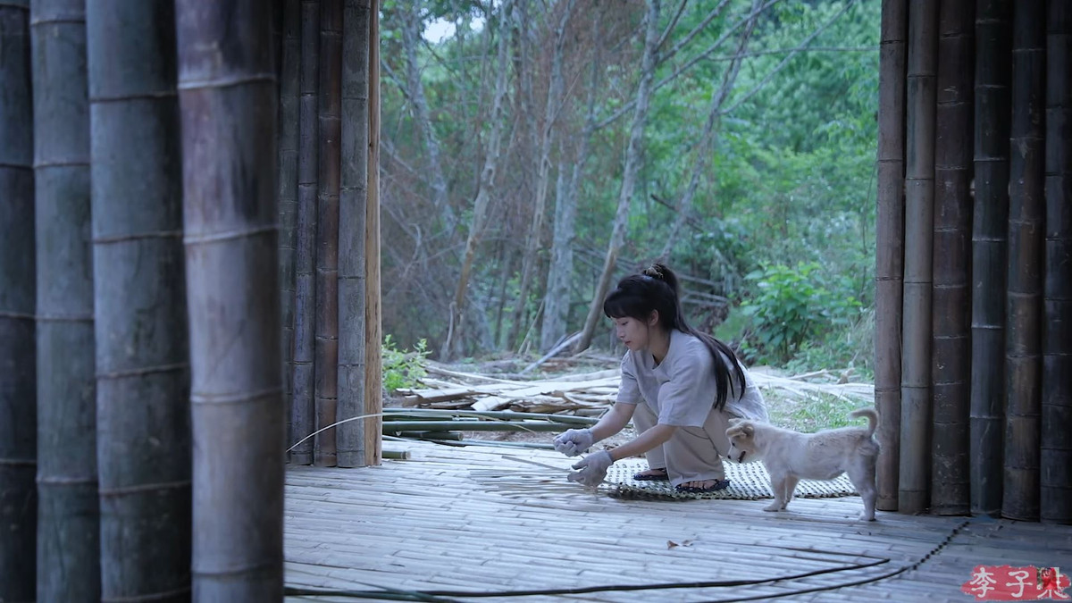 Trước đó, cuối tháng 10, Lý Tử Thất cũng đã có những động thái báo hiệu việc sắp quay trở lại bằng cách tham gia một video tuyên truyền về gấu trúc.