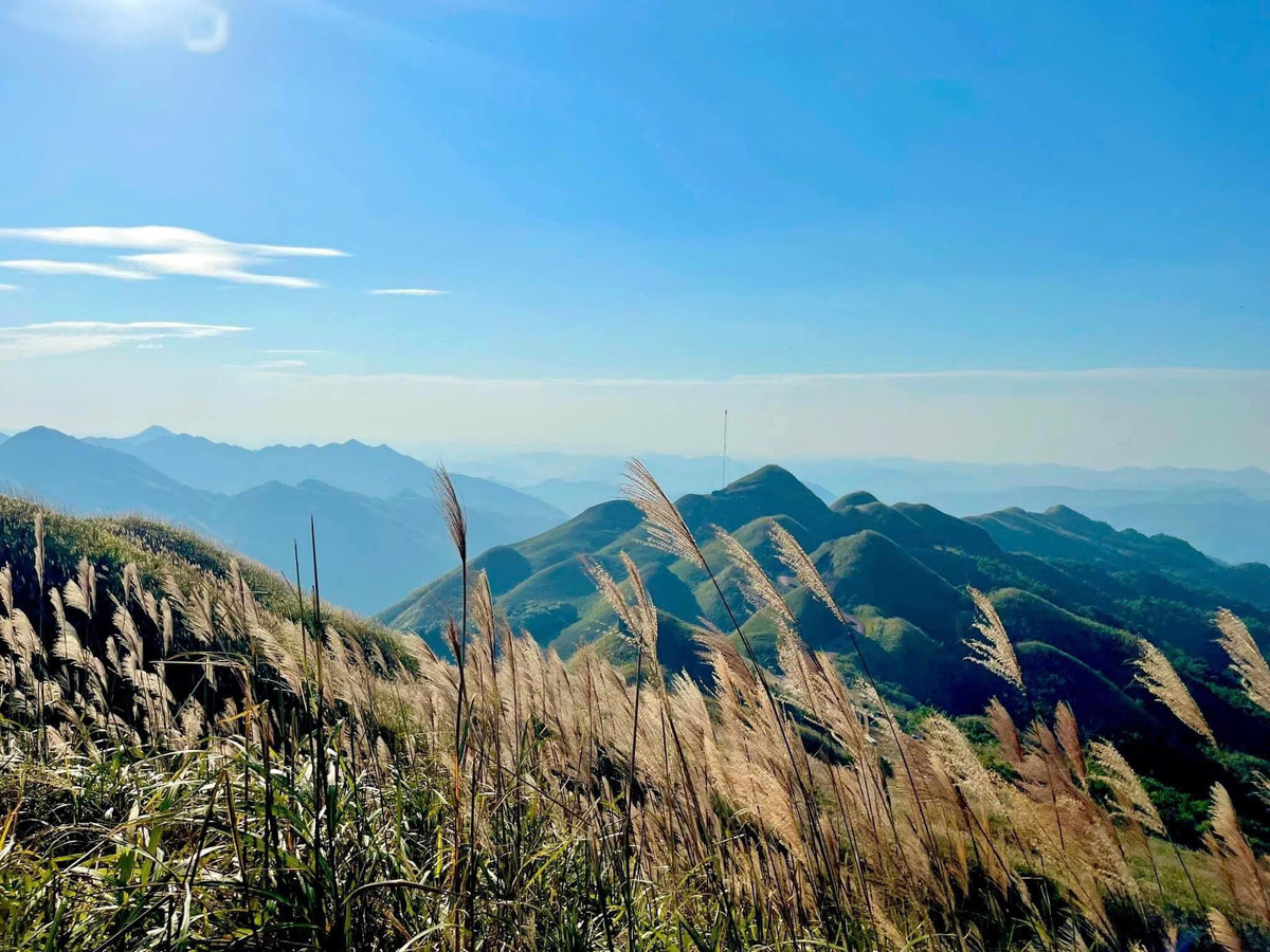 Hiện đã có cao tốc từ Hà Nội tới Tiên dài khoảng 250 km, du khách có thể dễ dàng đến Bình Liêu với quãng thời gian ngắn hơn nếu sử dụng ôtô hoặc xe khách. Nếu nghỉ tại thị trấn Bình Liêu, du khách nên thuê xe máy để trải nghiệm cung đường tuần tra biên giới với giá thuê một ngày dao động 200.000 - 300.000 đồng một xe