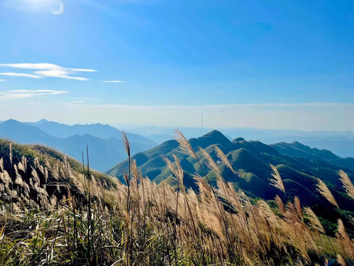 Hiện đã có cao tốc từ Hà Nội tới Tiên dài khoảng 250 km, du khách có thể dễ dàng đến Bình Liêu với quãng thời gian ngắn hơn nếu sử dụng ôtô hoặc xe khách. Nếu nghỉ tại thị trấn Bình Liêu, du khách nên thuê xe máy để trải nghiệm cung đường tuần tra biên giới với giá thuê một ngày dao động 200.000 - 300.000 đồng một xe