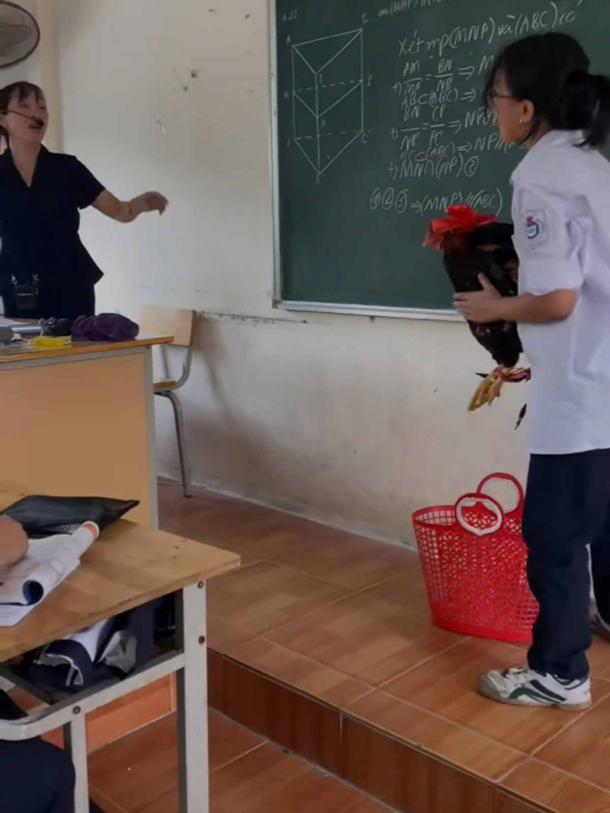 Cô bạn này thì lém lỉnh hơn nữa khi xách hẳn chiếc làn của mẹ, của bà đi chợ với một con gà.