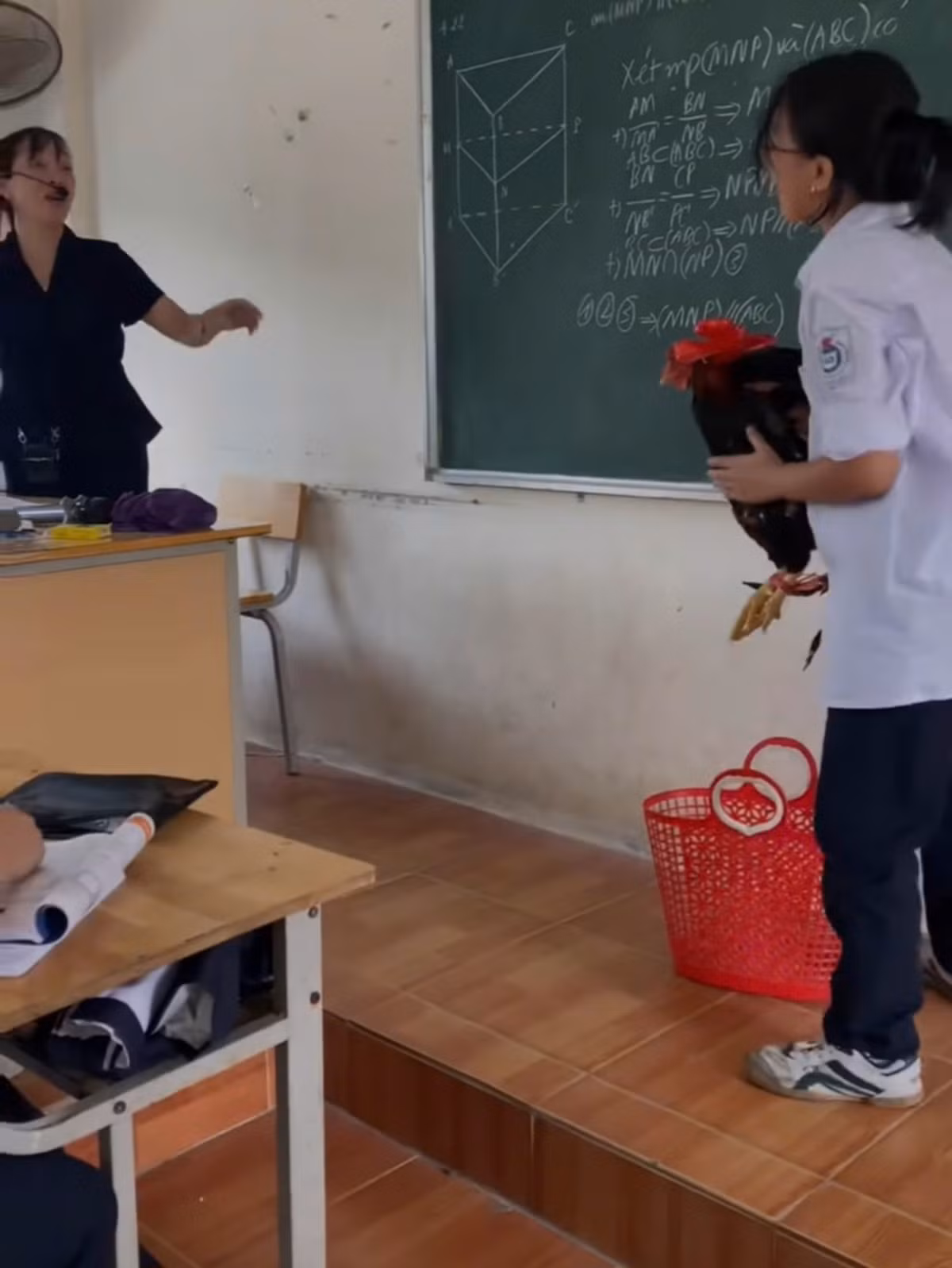 Cô bạn này thì lém lỉnh hơn nữa khi xách hẳn chiếc làn của mẹ, của bà đi chợ với một con gà.