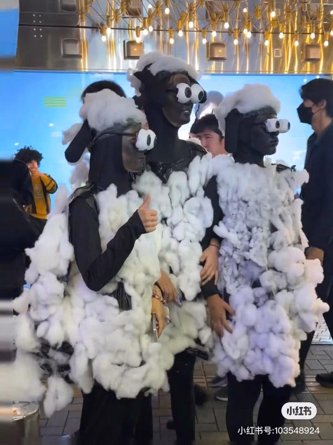 3 con cừu này xuống phố thì không cần phải làm gì ai cũng ngoái nhìn.