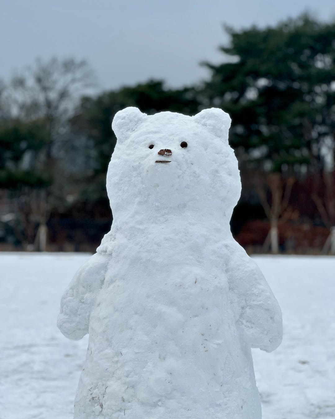 Rất nhiều con vật đáng yêu đã được tạo ra từ tuyết như thỏ, gấu,...