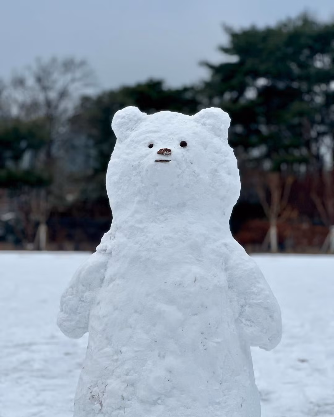 Rất nhiều con vật đáng yêu đã được tạo ra từ tuyết như thỏ, gấu,...