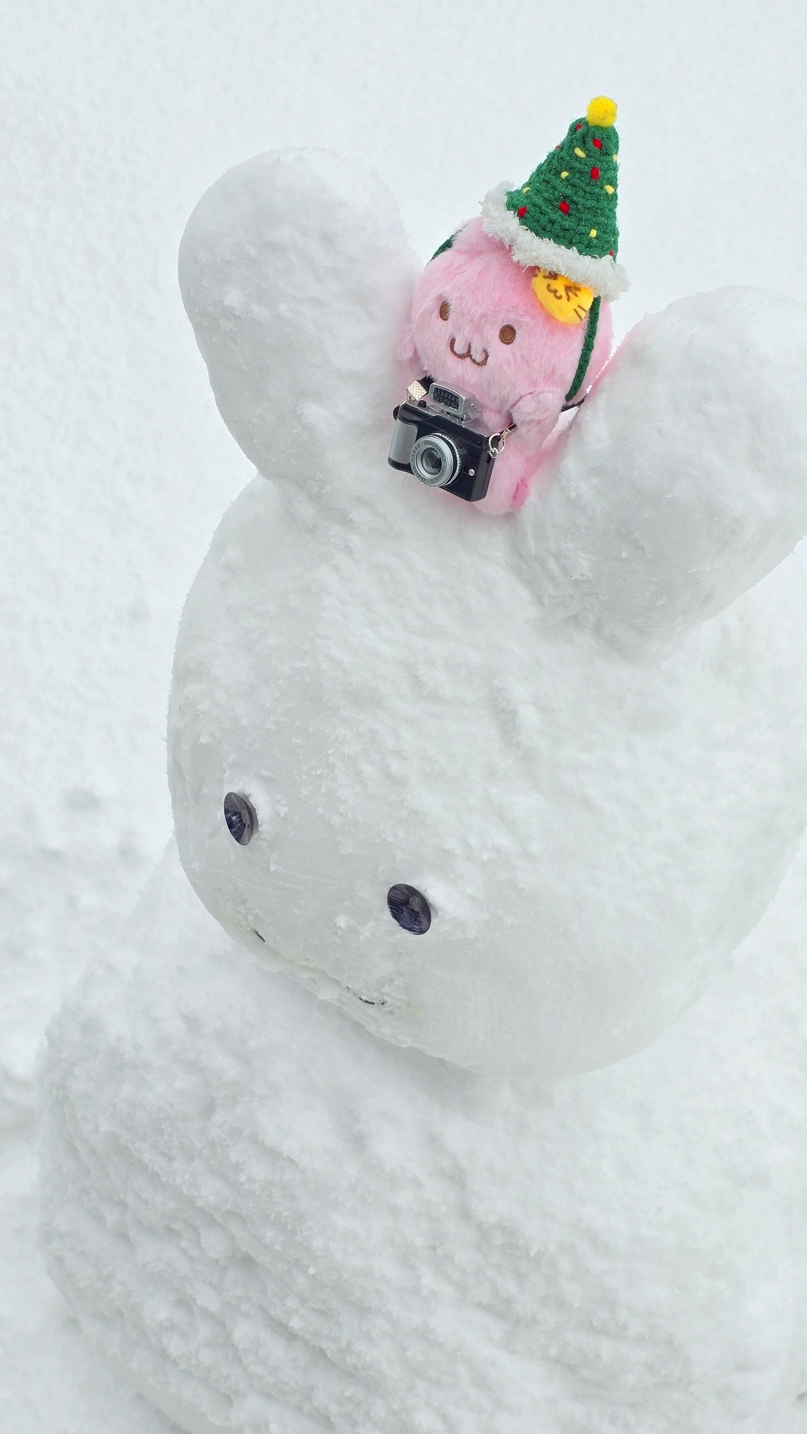 Nhiều bạn trẻ con mang phụ kiện cho người tuyết của mình.