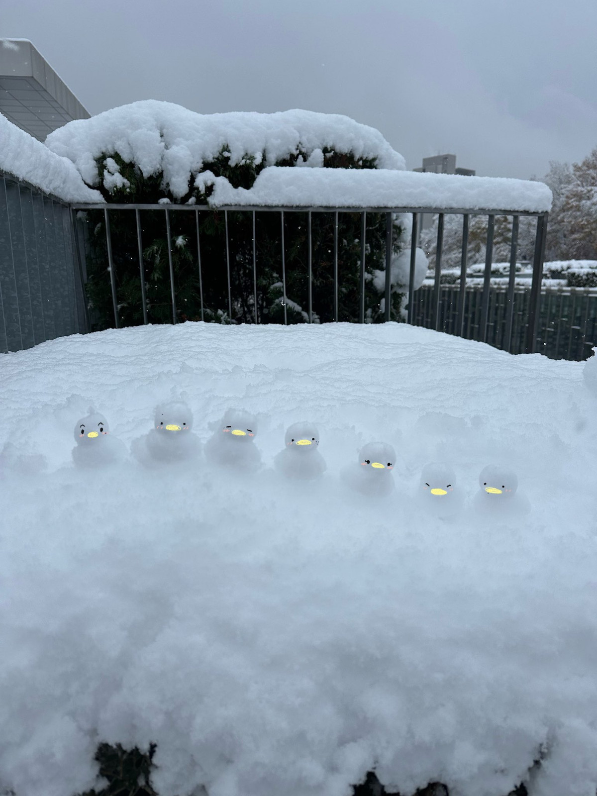 Trông tựa như một dàn heeiuoi phát sáng.