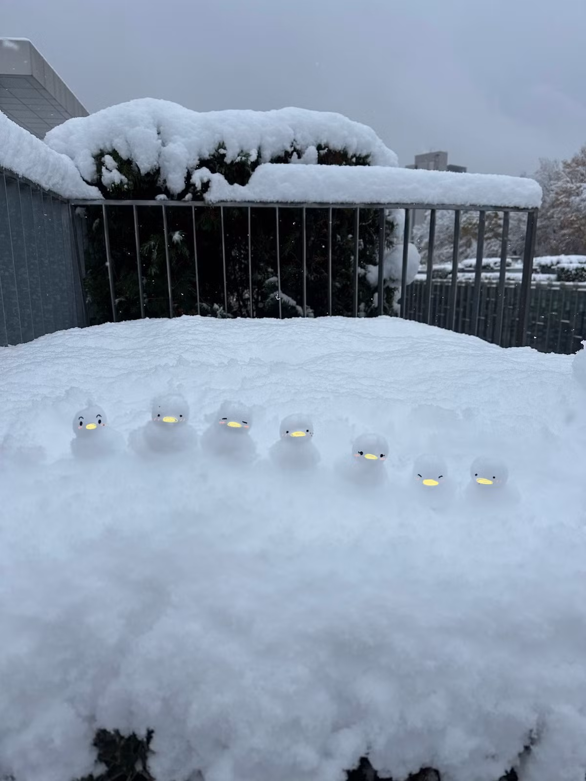 Trông tựa như một dàn heeiuoi phát sáng.