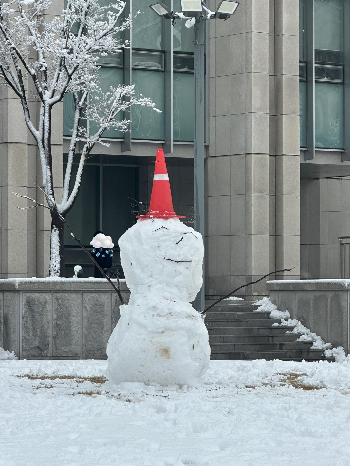 Tuy nhiên không phải ai cũng khéo tay để tạo nên một tác phẩm tuyết xinh đẹp.