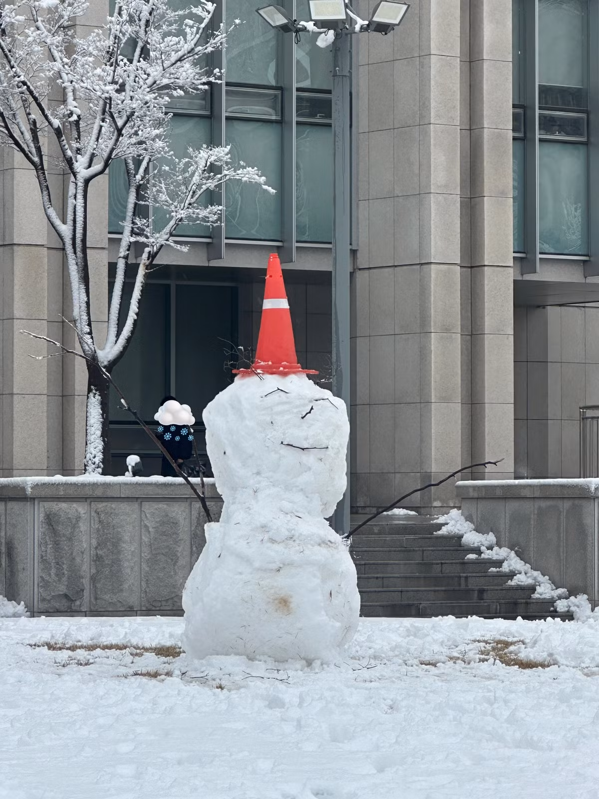 Tuy nhiên không phải ai cũng khéo tay để tạo nên một tác phẩm tuyết xinh đẹp.