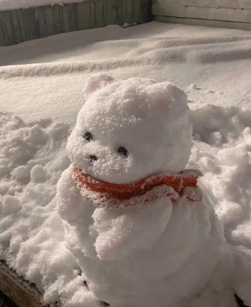 Không chỉ có những người tuyết đáng yêu được ra đời mà còn có những tác phẩm vô cùng nghệ thuật khiến cộng đồng mạng phải trầm trồ vì độ công phu và chi tiết.