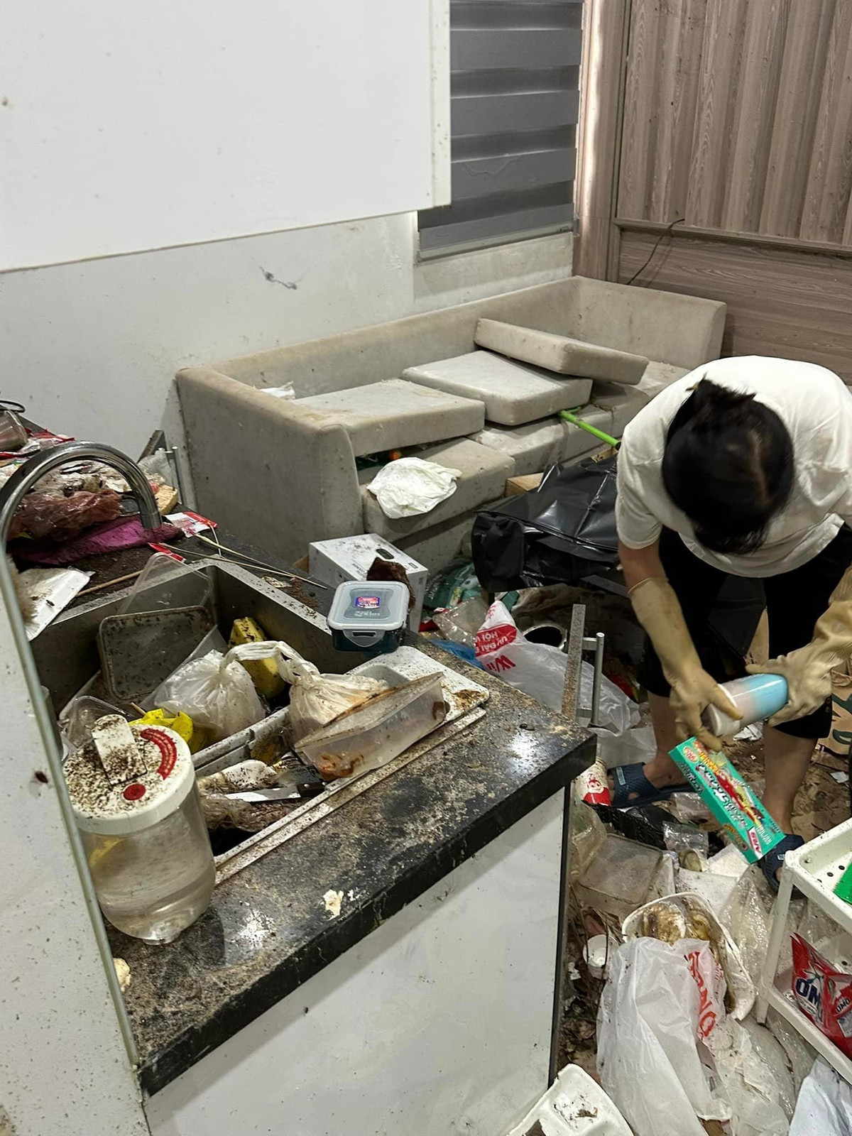 Toàn bộ căn phòng "ngồn ngộn" rác. Đồ ăn lâu ngày để trong kệ bếp và bồn rửa bát chất thành đống, túi ni lông, đồ ăn nhanh, bột giặt, đồ quần áo... vứt lung tung khắp sàn tạo nên khung cảnh "bốc mùi". Chiếc sofa cũng đổi màu đến không nhận ra màu sắc ban đầu nữa.