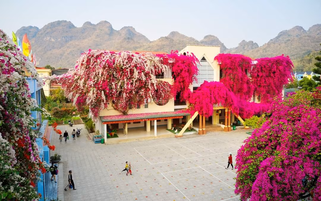 Hình ảnh về một ngôi trường mầm non ngập trong sắc hồng, trắng của hoa giấy những ngày qua được nhiều người chia sẻ trên mạng xã hội. Nhiều người mong muốn tìm thấy ngôi trường này để có thể ghé thăm, check-in.