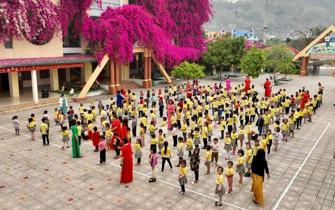 Hiện hoa giấy ở trường còn có thêm các màu khác như cam, vàng, đỏ...