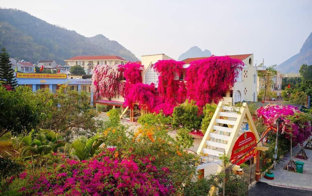 Thực chất, những bức ảnh này được chụp từ năm ngoái, cũng từng khiến mạng xã hội rầm rộ. Ngôi trường với những dàn hoa giấy như cổ tích này là trường mầm non Lò Văn Giá (phường Chiềng An, Thành phố Sơn La, tỉnh Sơn La).