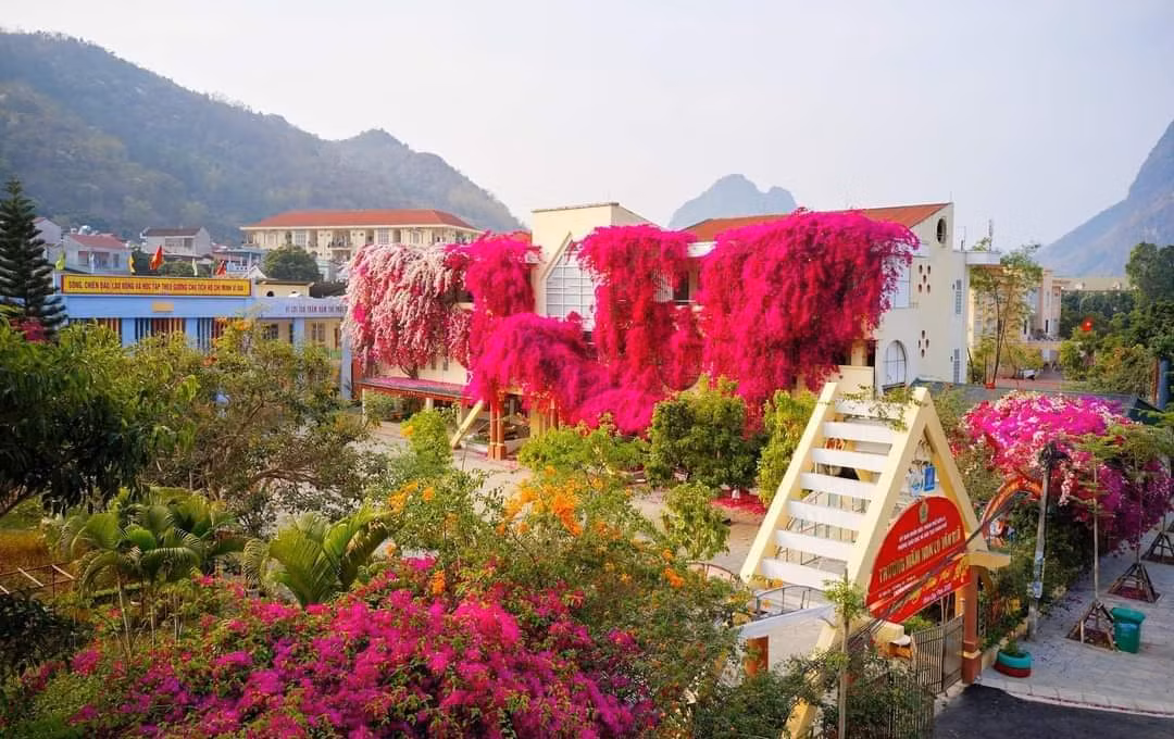 Thực chất, những bức ảnh này được chụp từ năm ngoái, cũng từng khiến mạng xã hội rầm rộ. Ngôi trường với những dàn hoa giấy như cổ tích này là trường mầm non Lò Văn Giá (phường Chiềng An, Thành phố Sơn La, tỉnh Sơn La).