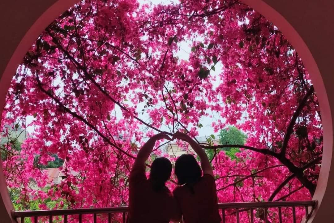 Một góc hành lang được hoa giấy che phủ tạo nên khung cảnh vô cùng lãng mạn.